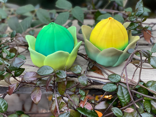 Amazing Dragon Flower Bulb with Dragon - 3d Printed Toy