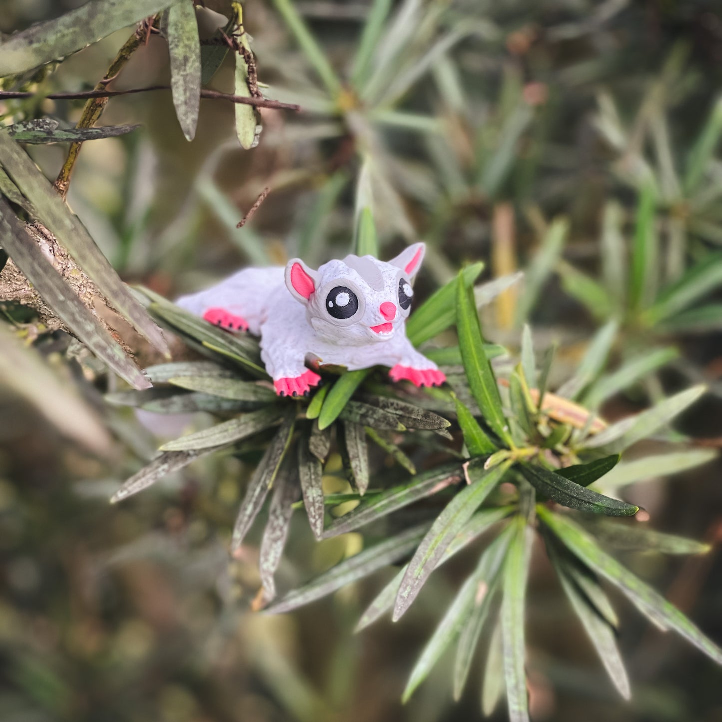 Sugar Glider