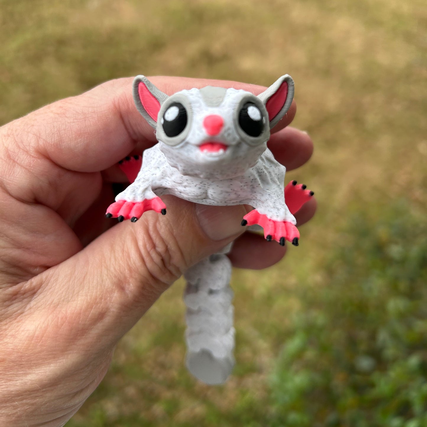 Sugar Glider