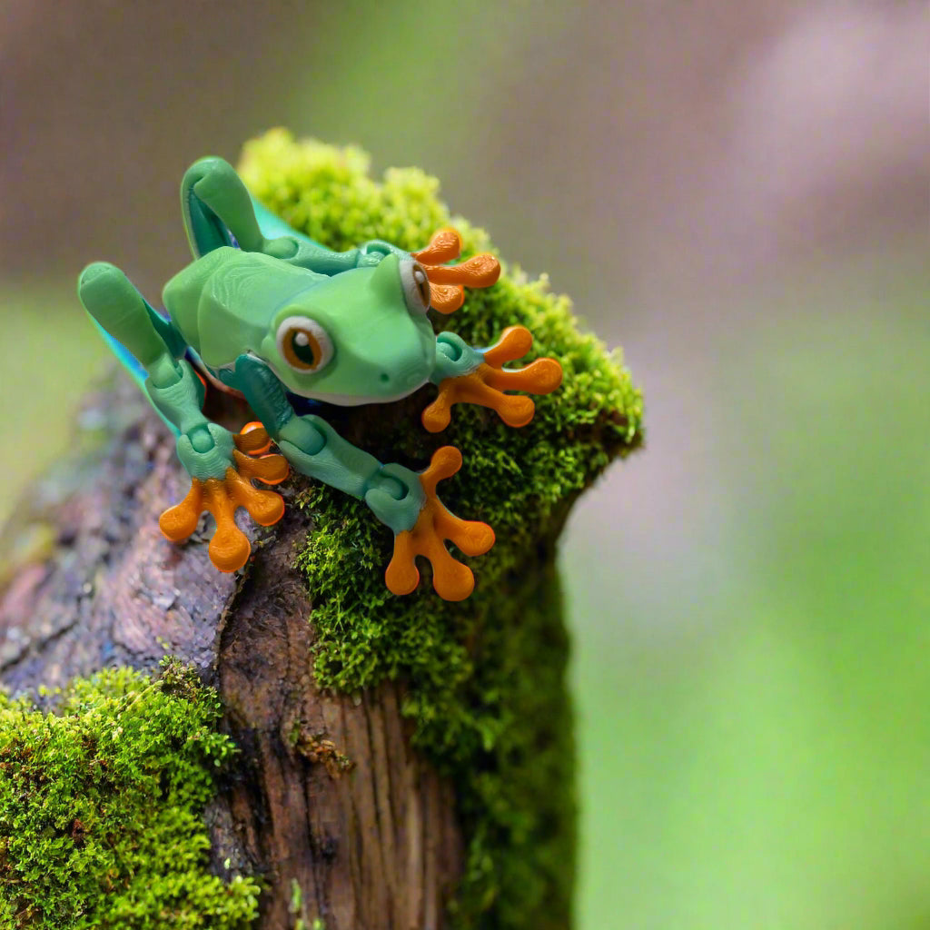 Tree Frog