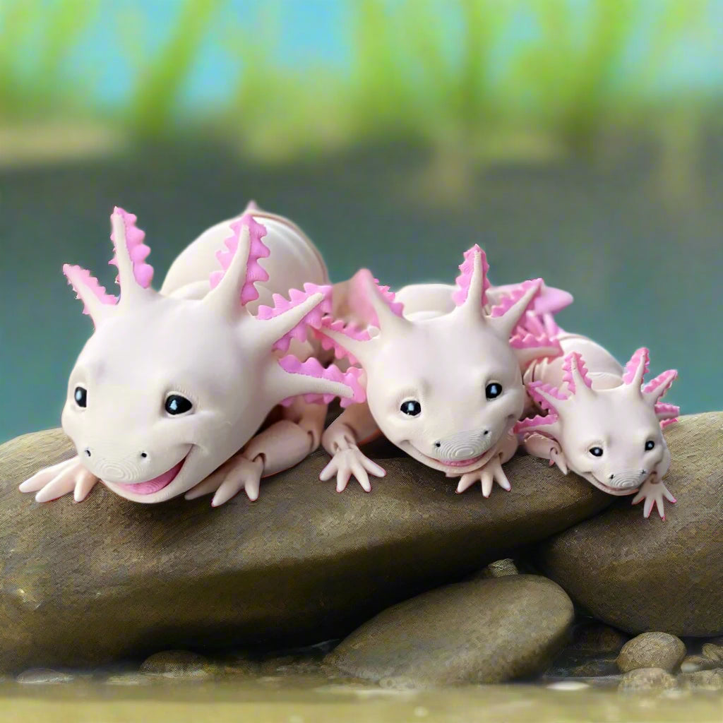 Axolotl Family on a smooth rock