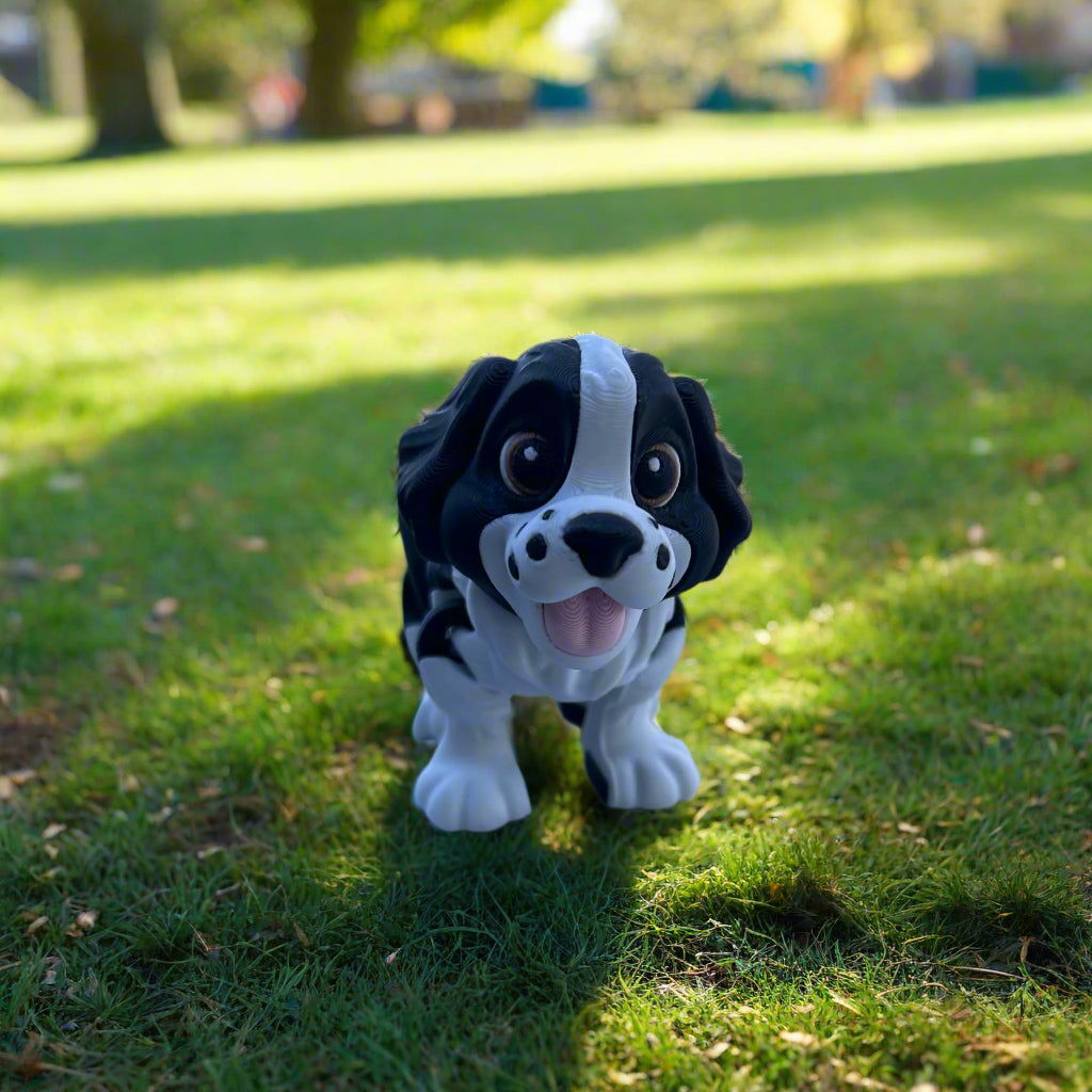 Baby Springer Spaniel