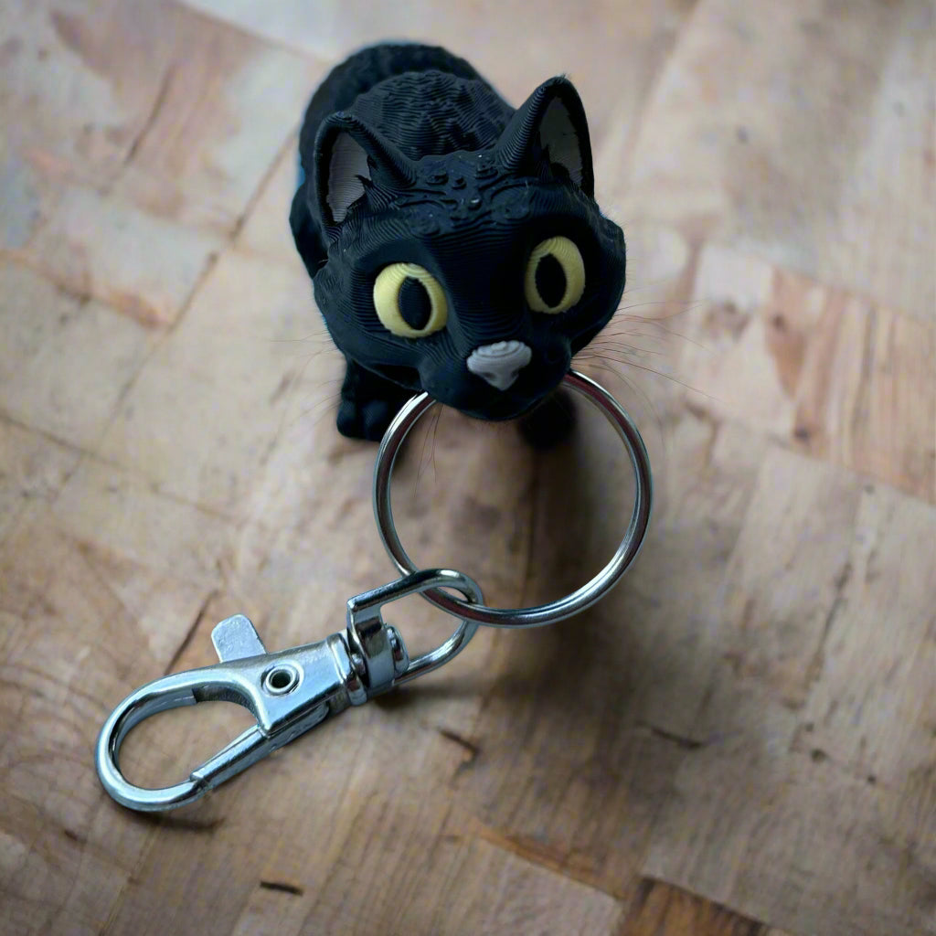 Black cat with key ring