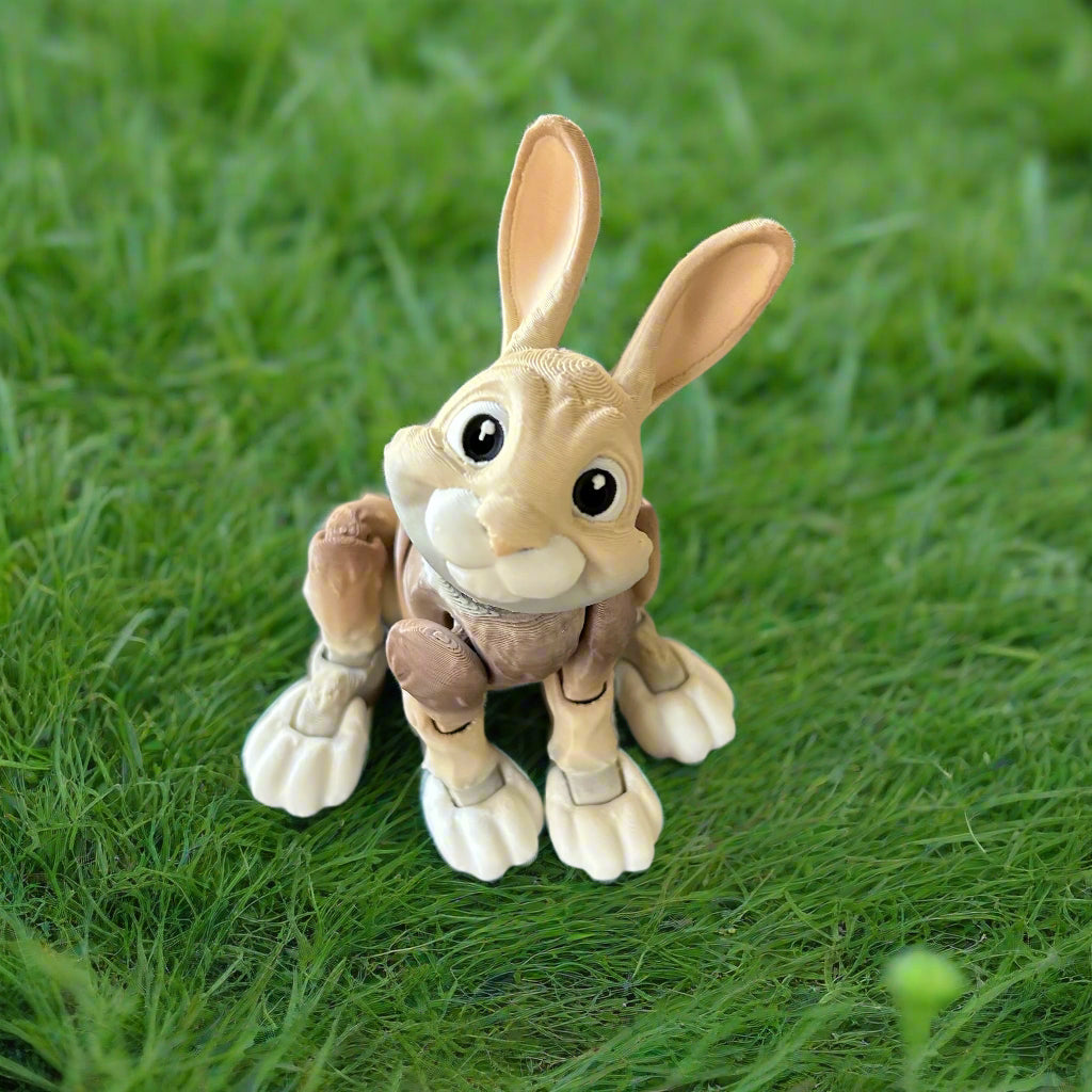 Bunny in grass