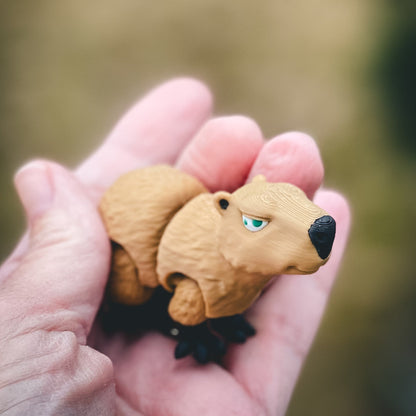 Capybara