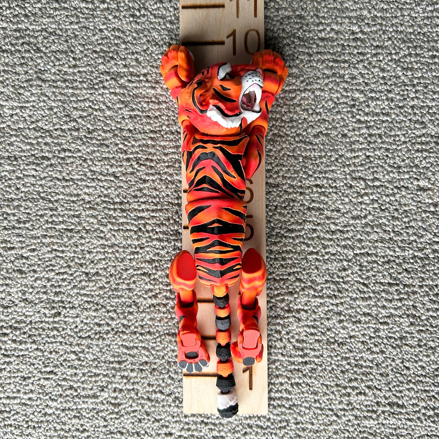 Full Size Tiger Measurement