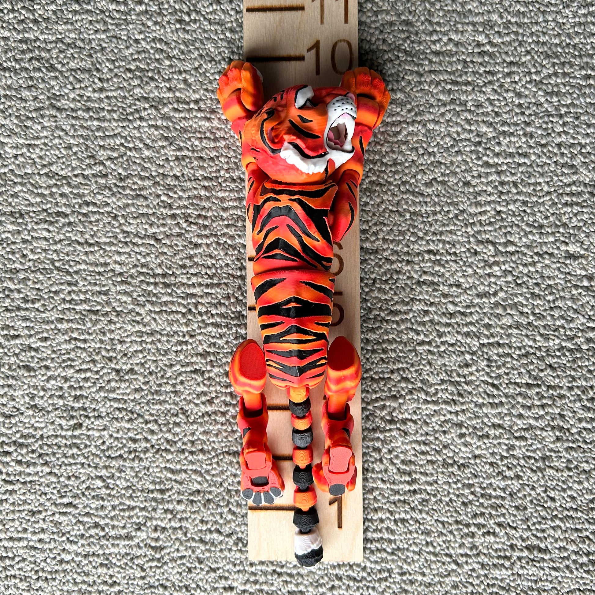Full Size Tiger Measurement