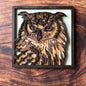 Multi-Layered Owl - Six layers of laser cut wood, hand painted