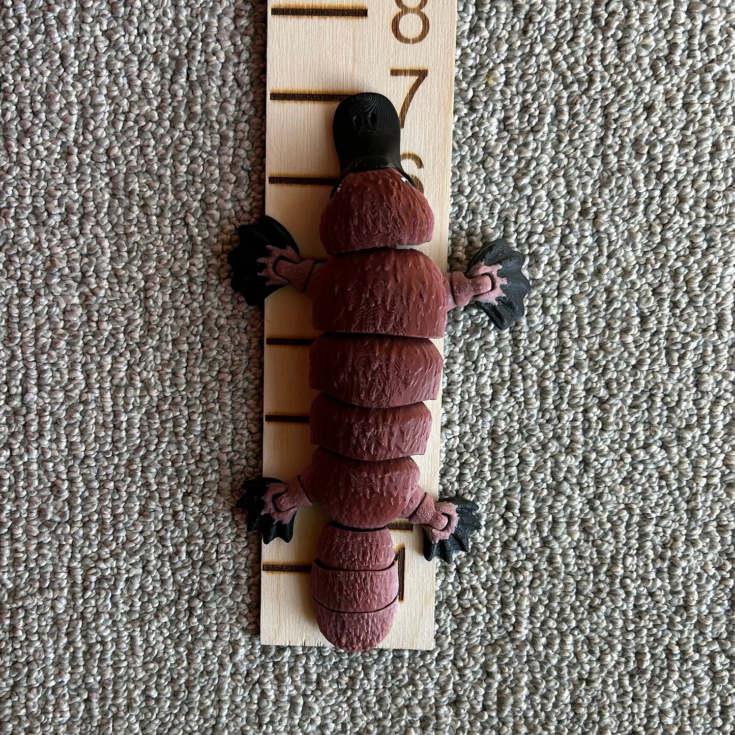 Platypus - 3d Printed Fidget Toy