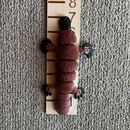 Platypus - 3d Printed Fidget Toy