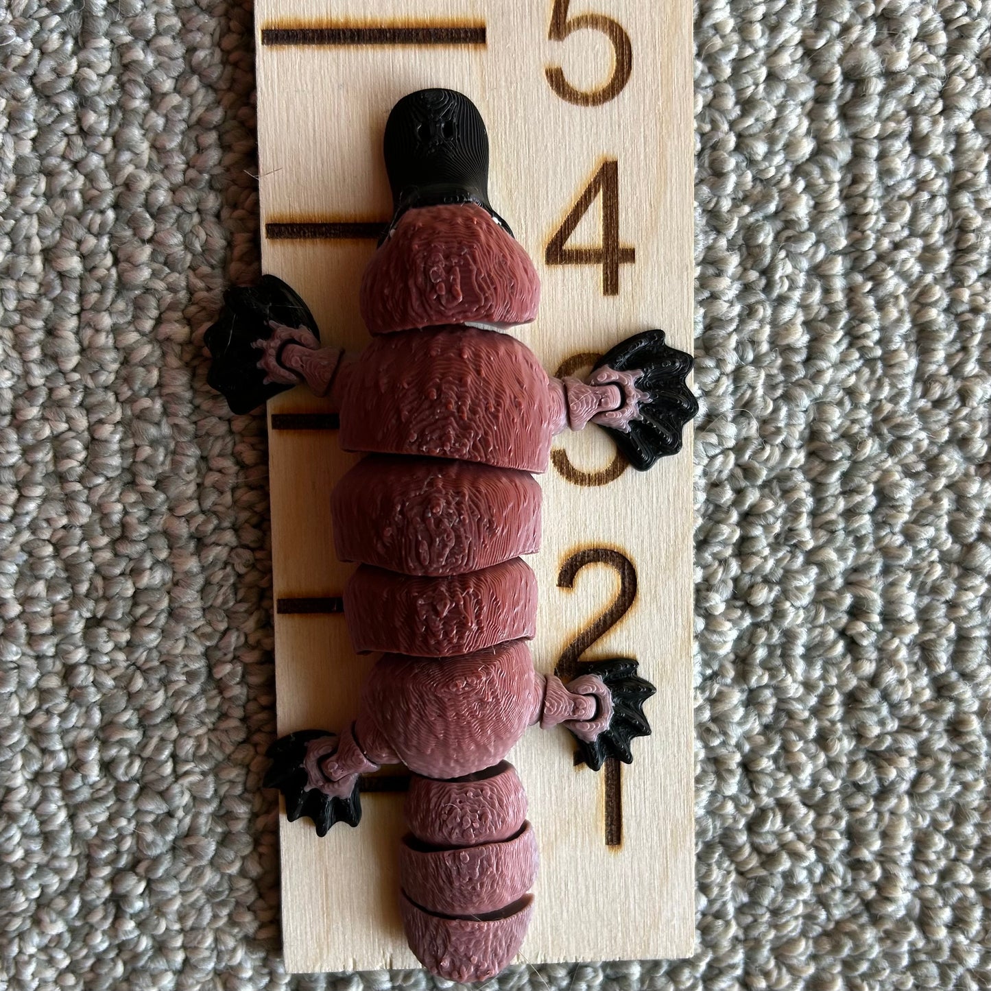 Platypus - 3d Printed Fidget Toy