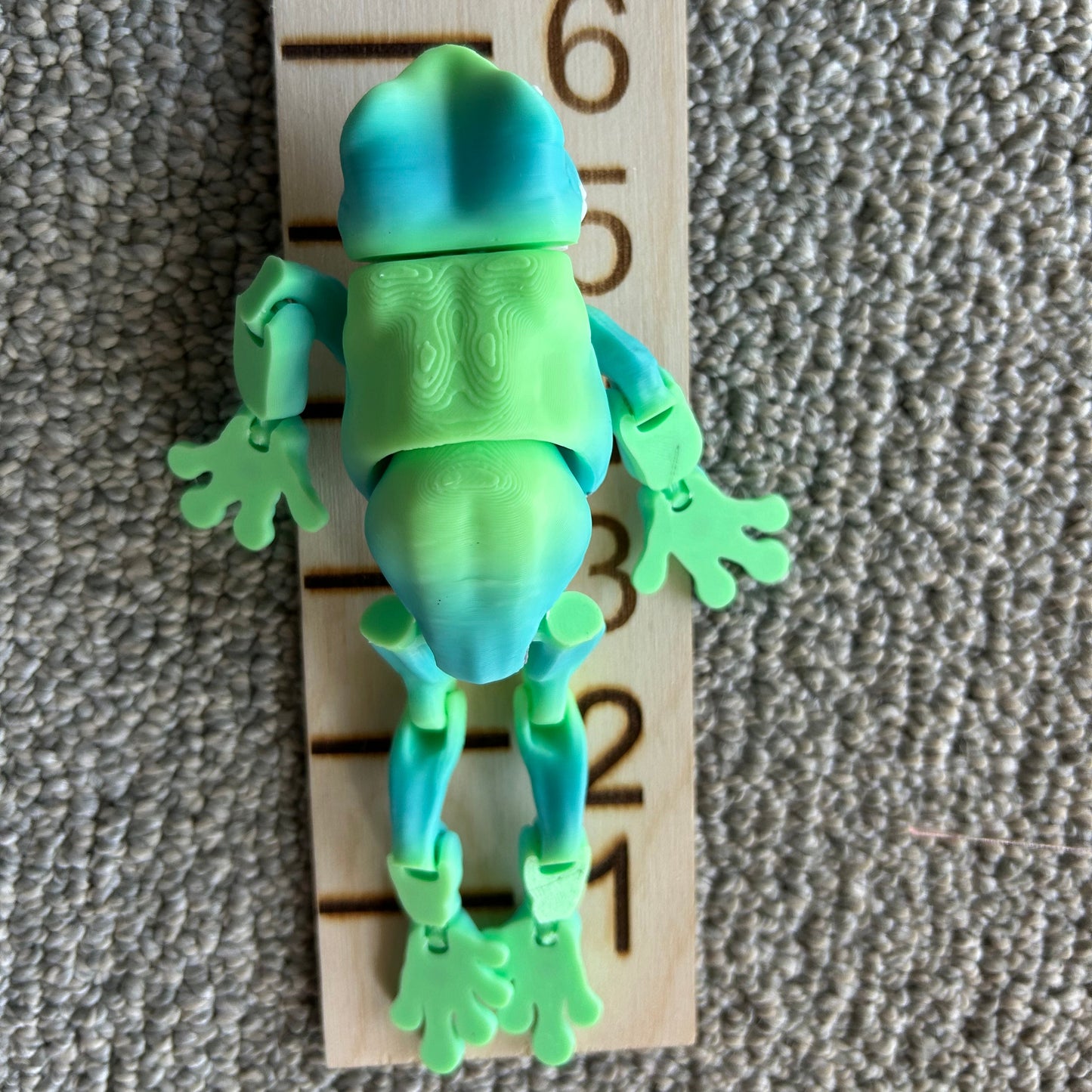 Tree Frog - 3d Printed Fidget Toy