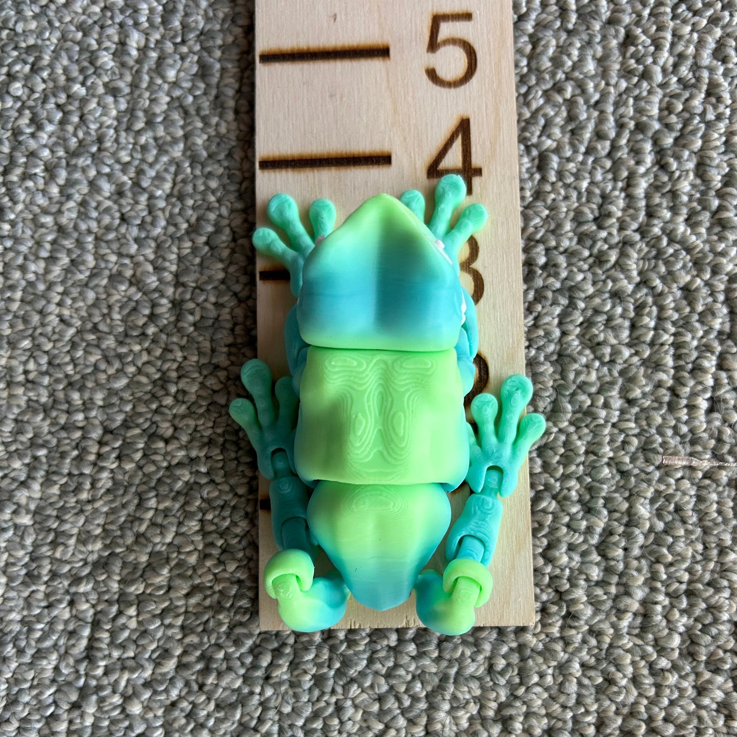 Tree Frog - 3d Printed Fidget Toy