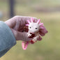 Smiling Axolotl - 3d Printed Fidget Toy