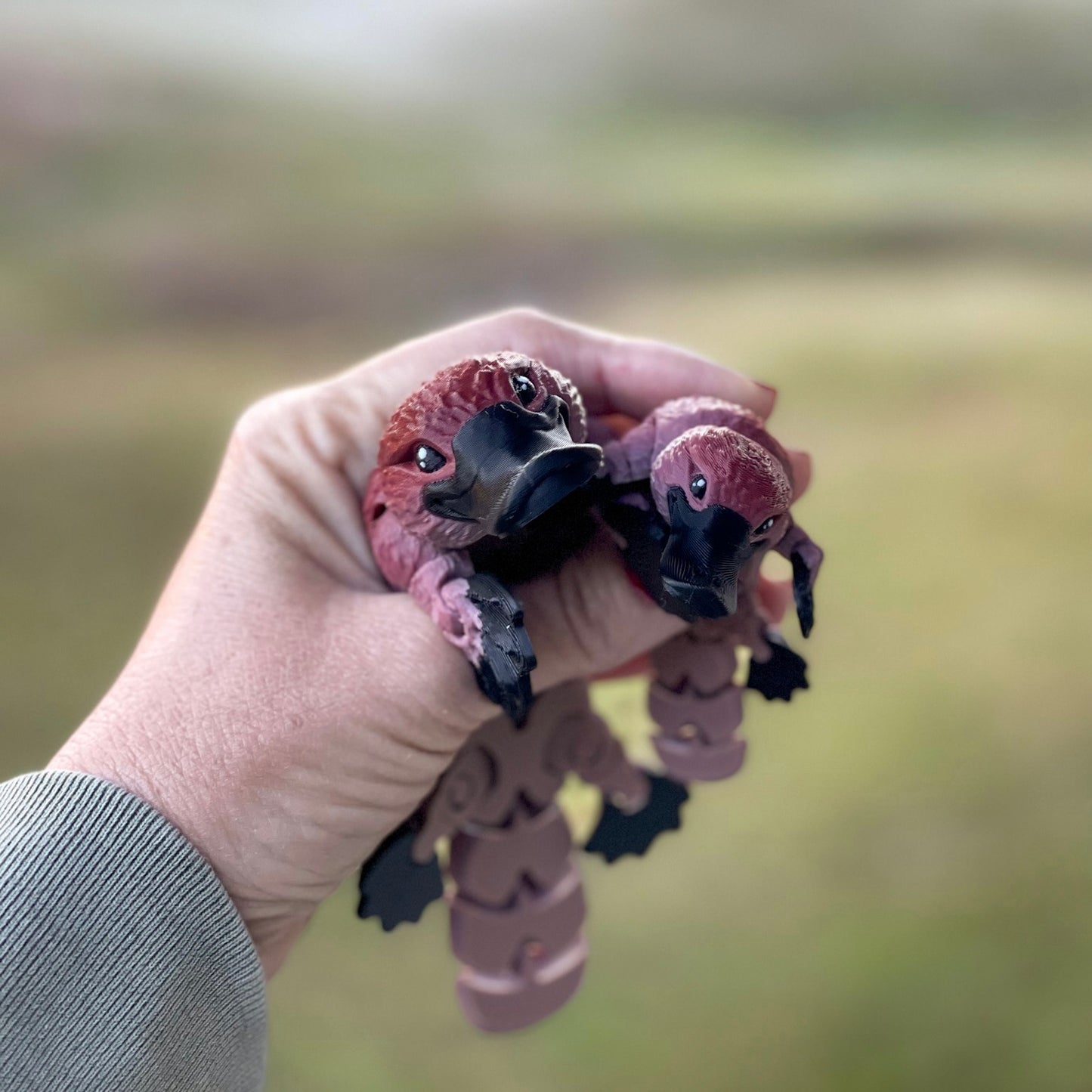 Platypus - 3d Printed Fidget Toy