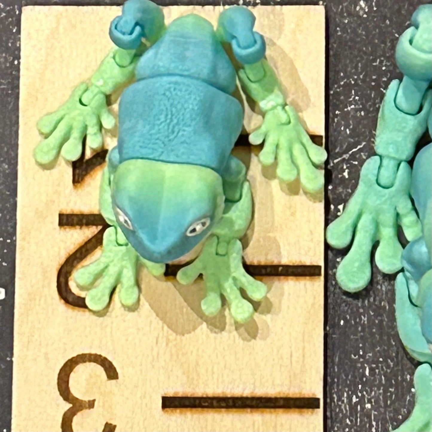 Tree Frog - 3d Printed Fidget Toy