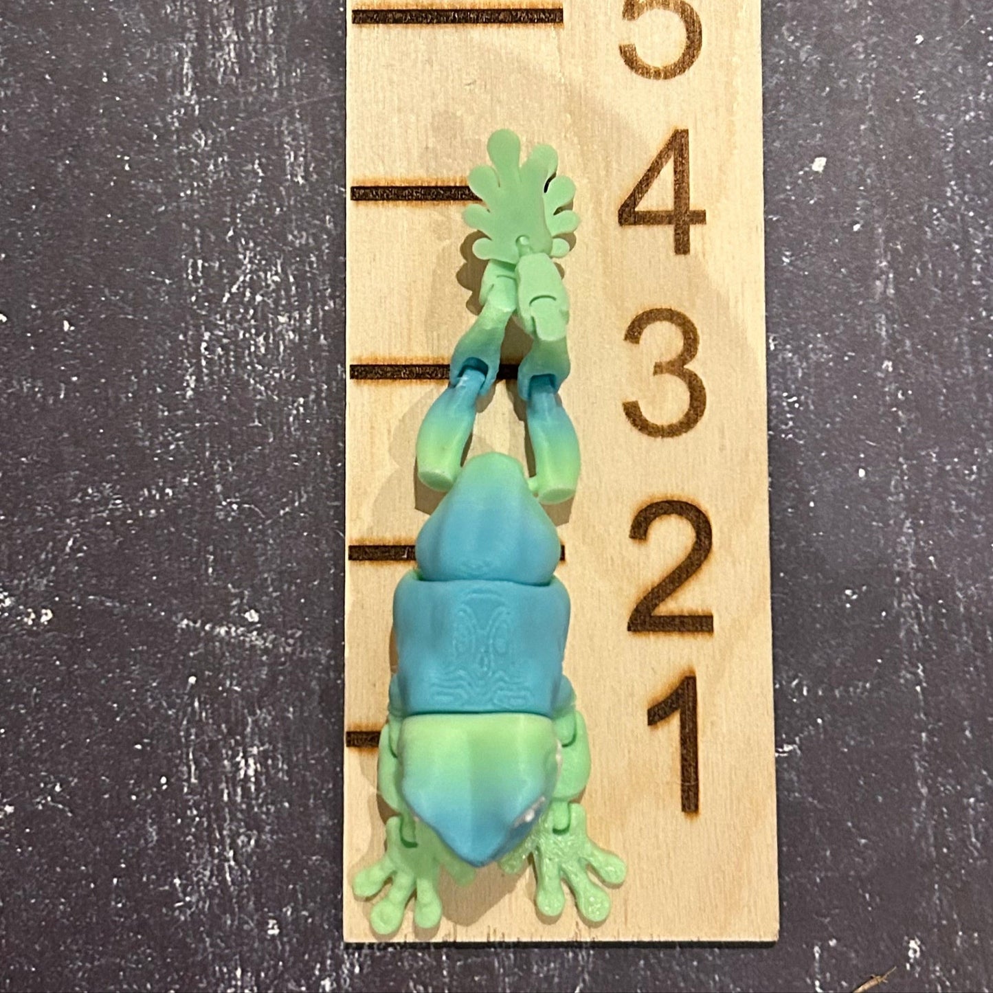 Tree Frog - 3d Printed Fidget Toy