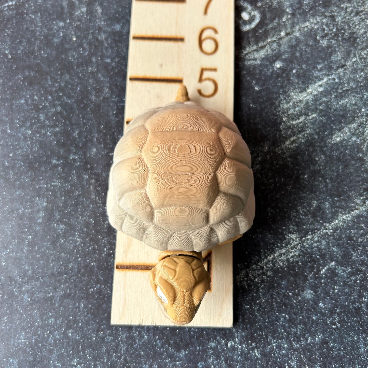 Smiling Tortoise - 3d Printed Posable Toy