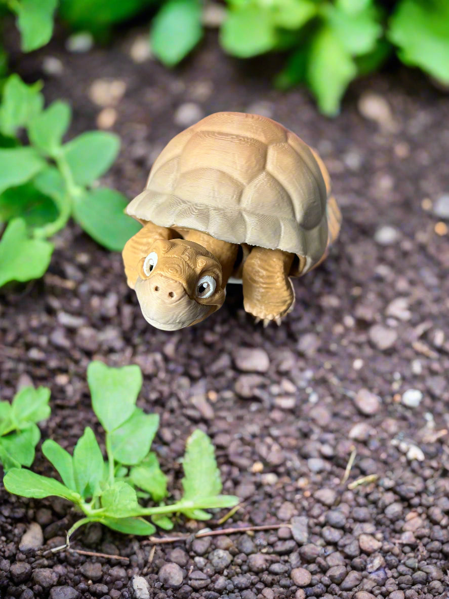 Smiling Tortoise - 3d Printed Posable Toy