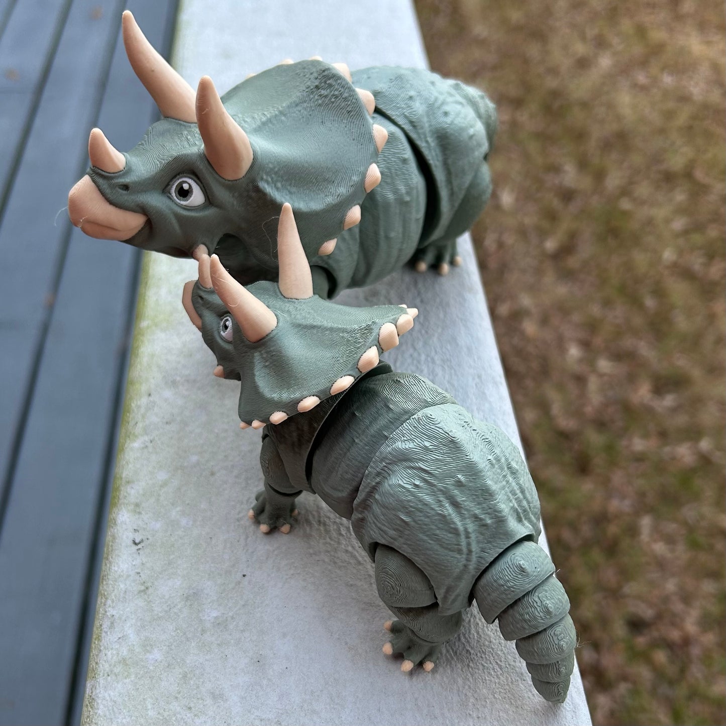 Amazing Triceratops- 3d Printed Posable Toy