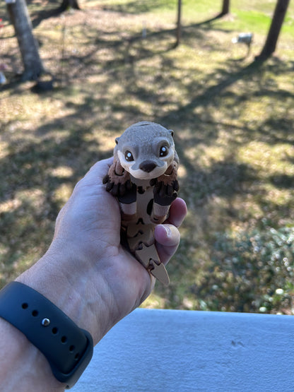River Otter - 3d Printed Fidget Toy
