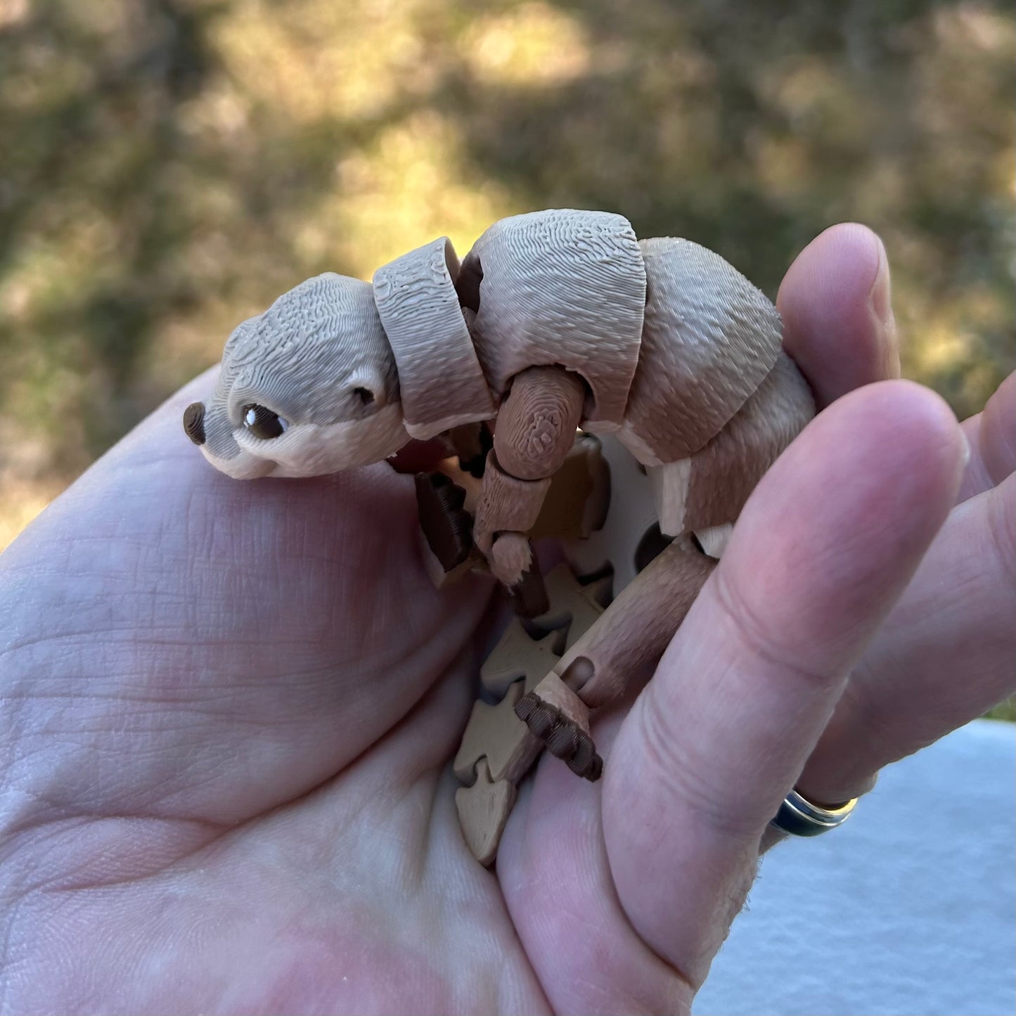 River Otter - 3d Printed Fidget Toy