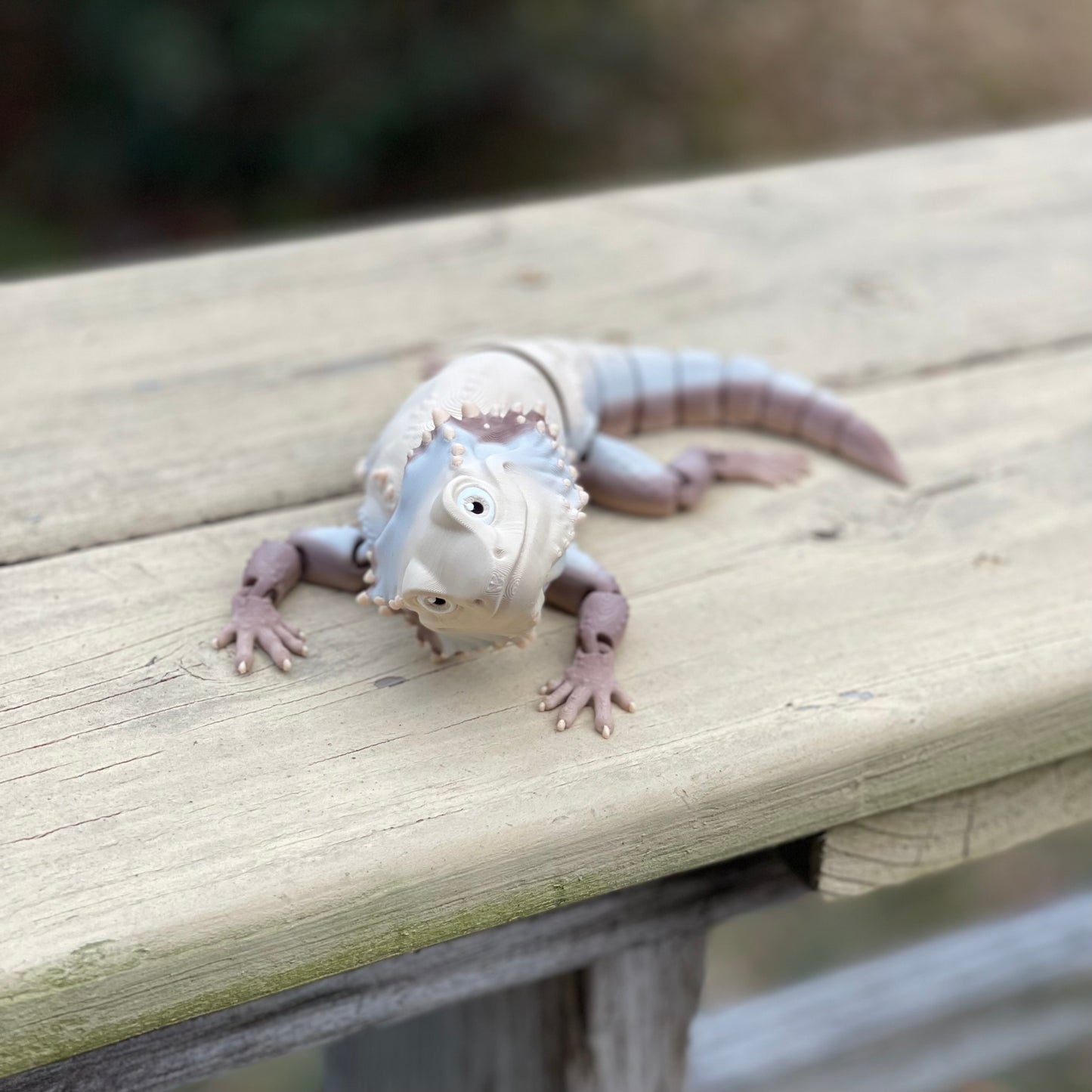 Bearded Dragon - 3d Printed Fidget Toy
