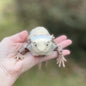 Bearded Dragon - 3d Printed Fidget Toy