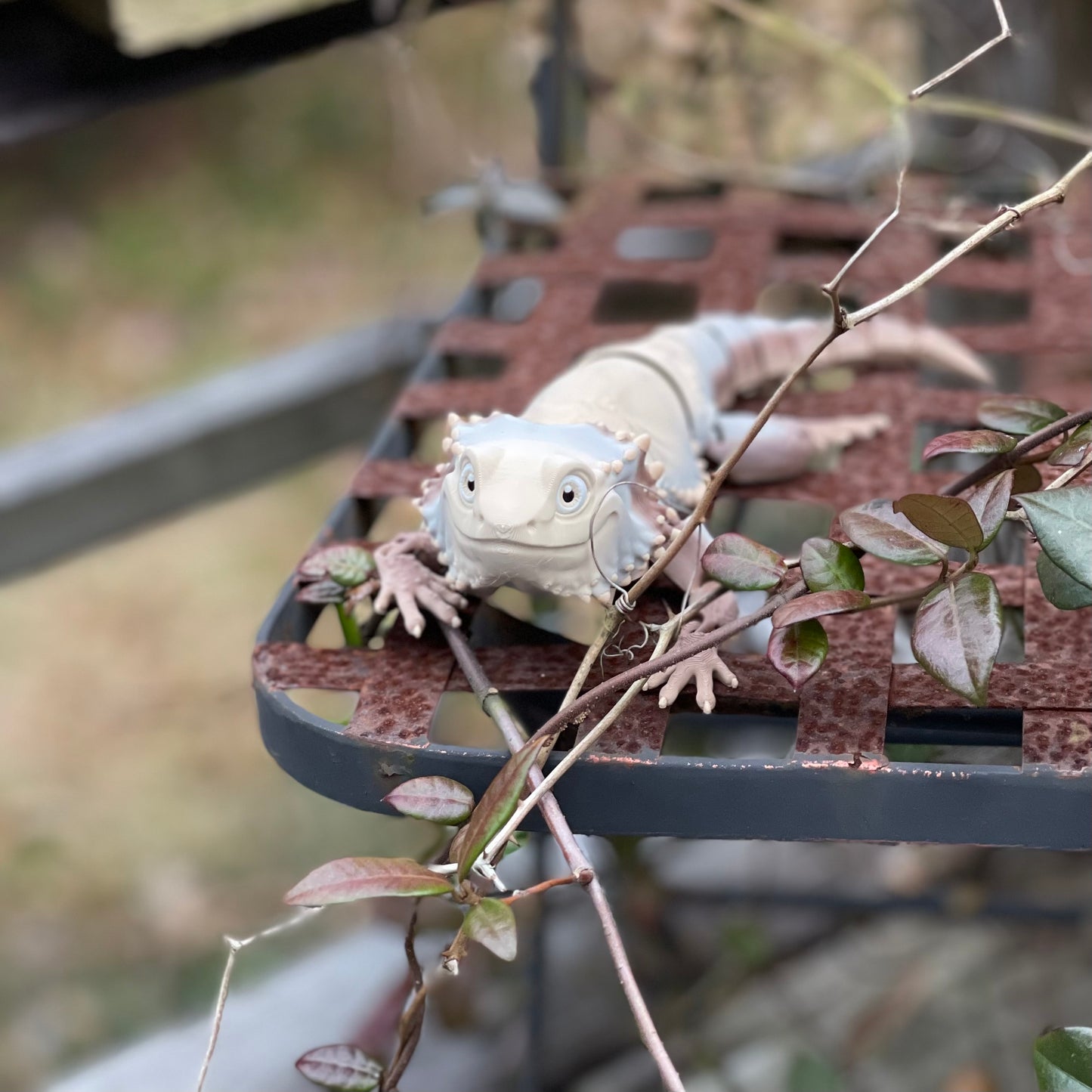 Bearded Dragon - 3d Printed Fidget Toy