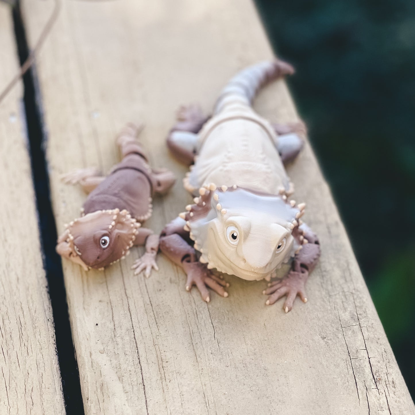 Bearded Dragon - 3d Printed Fidget Toy