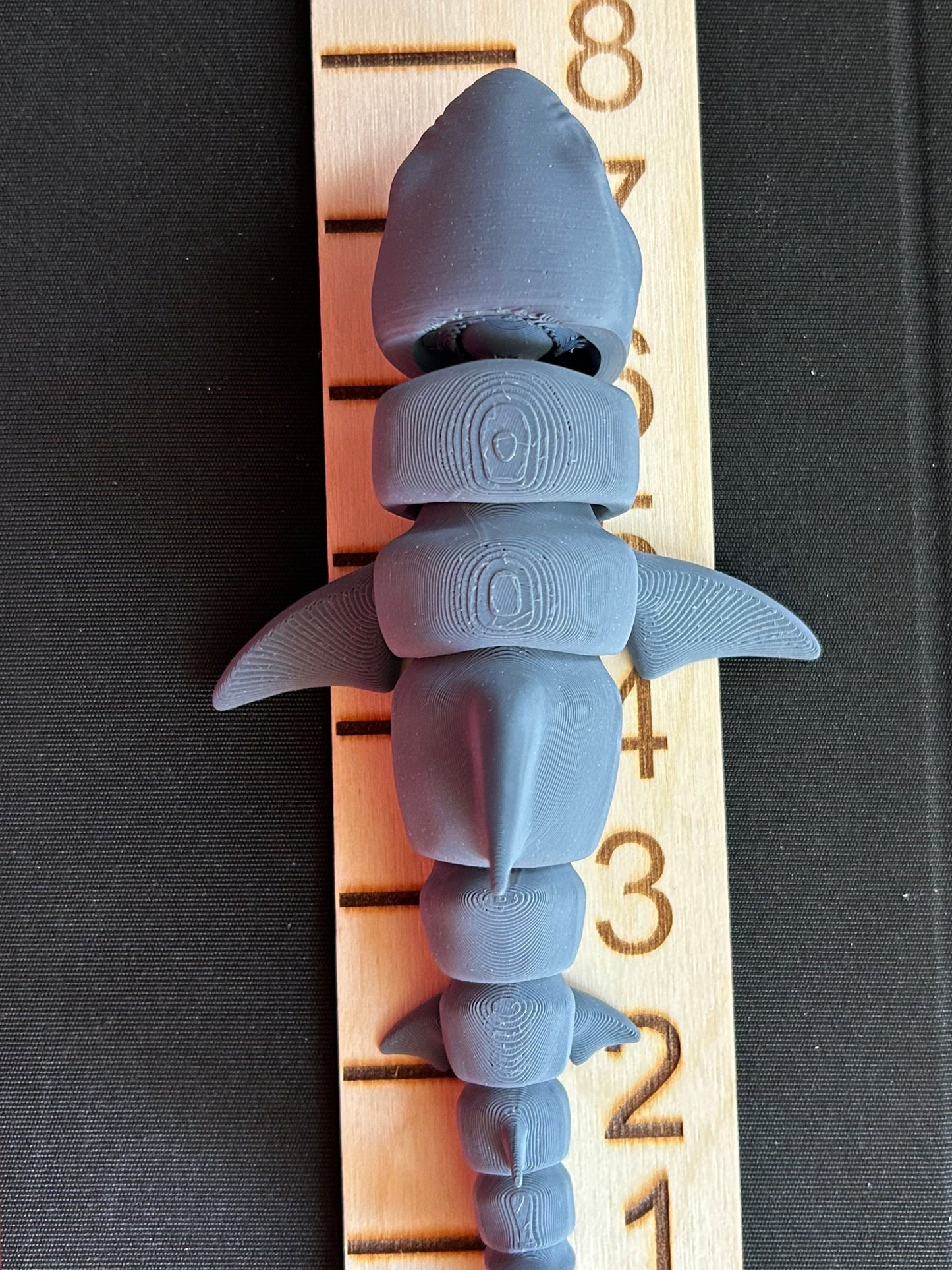 Medium Shark with Measurement