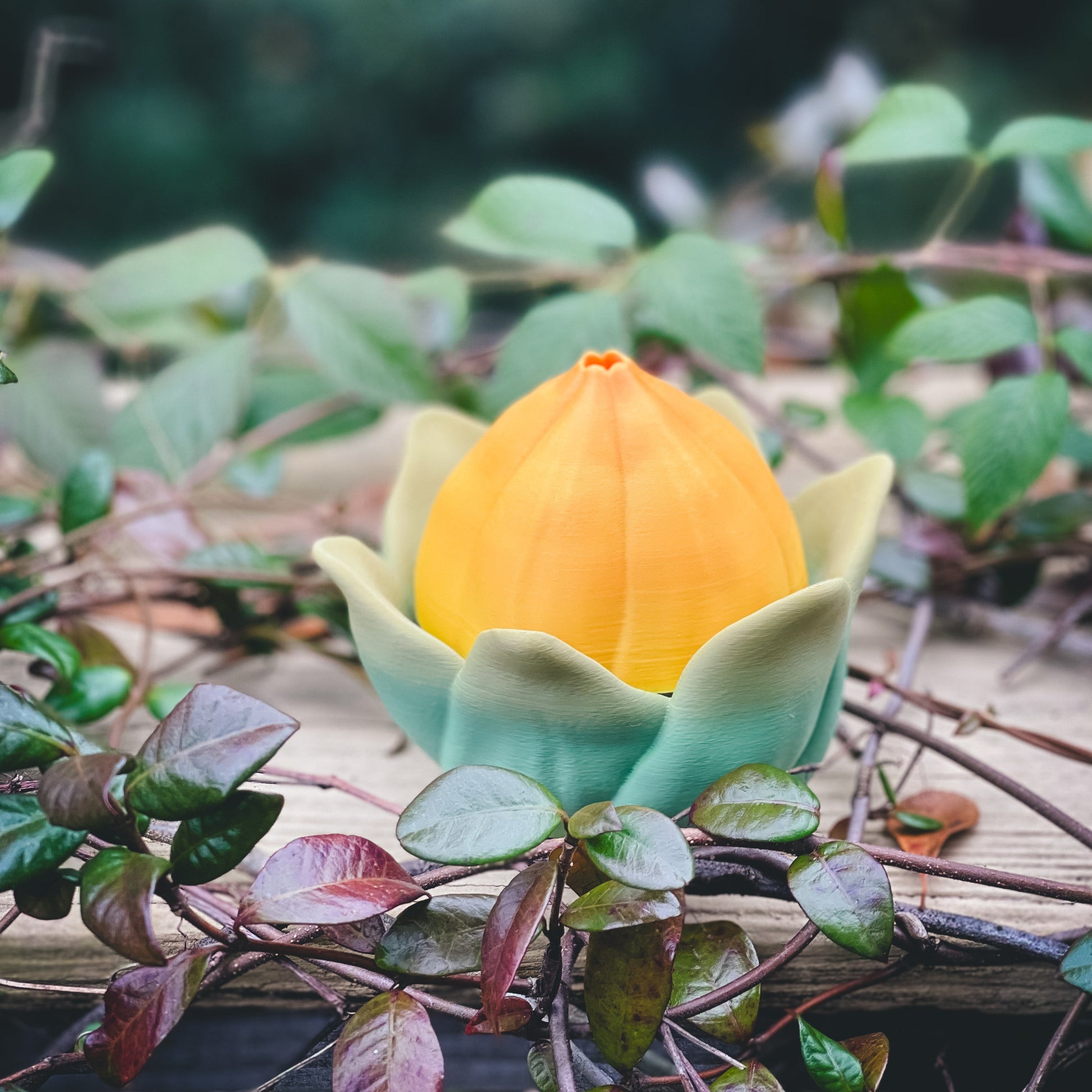 Peach Dragon Bulb