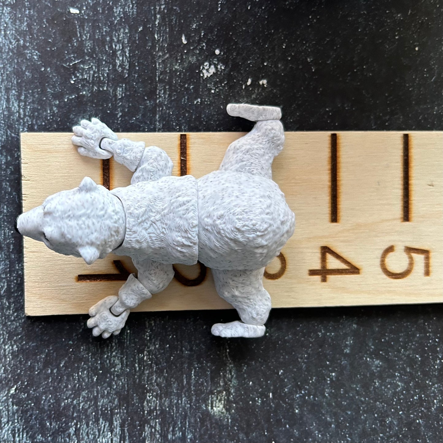 Small Size Polar Bear