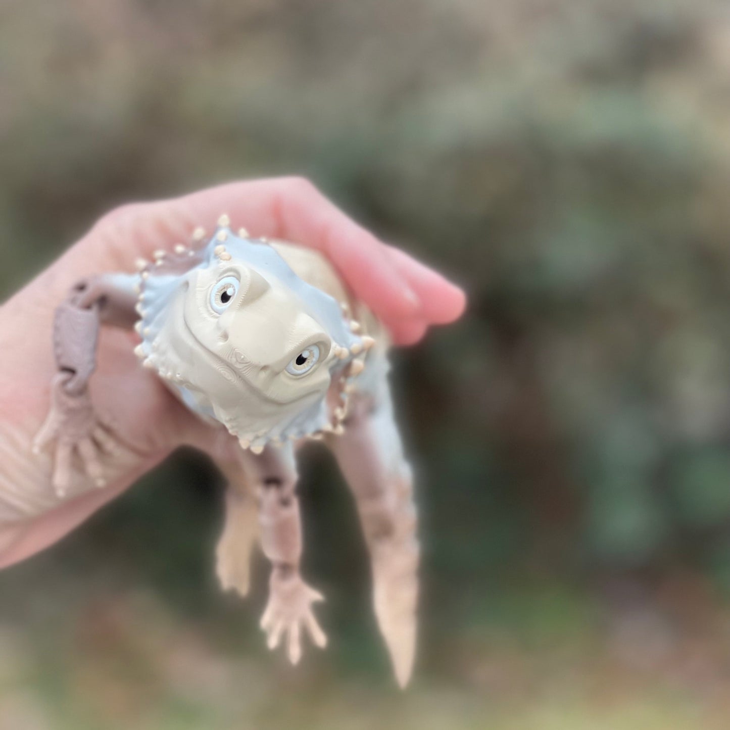 Smiling Bearded Dragon
