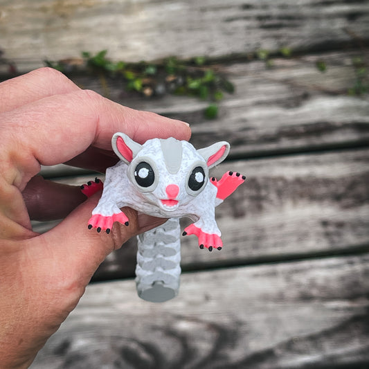 Sugar Glider