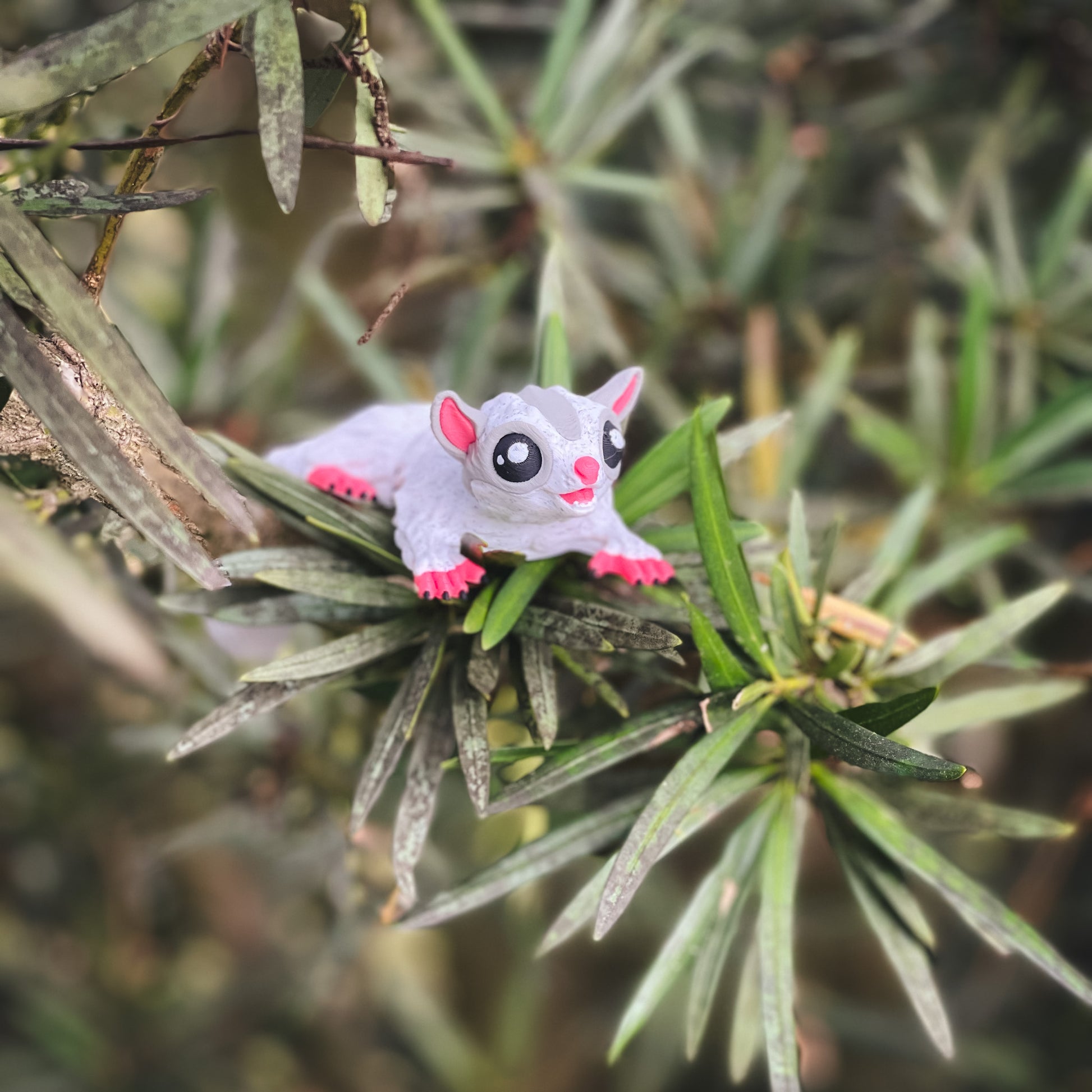 Sugar Glider