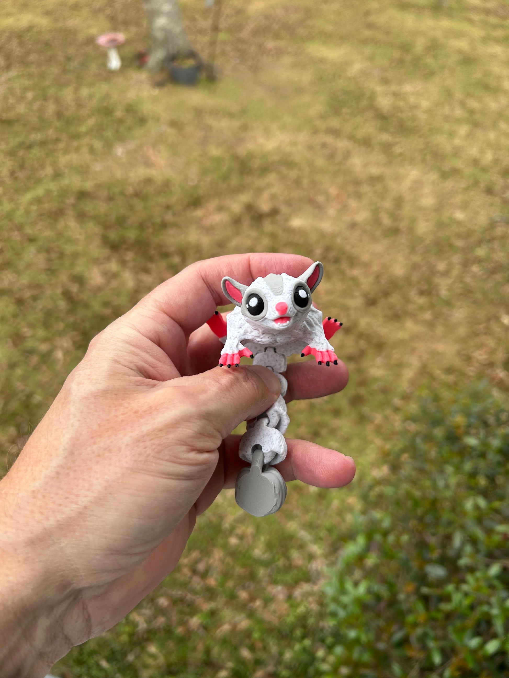 Sugar Glider