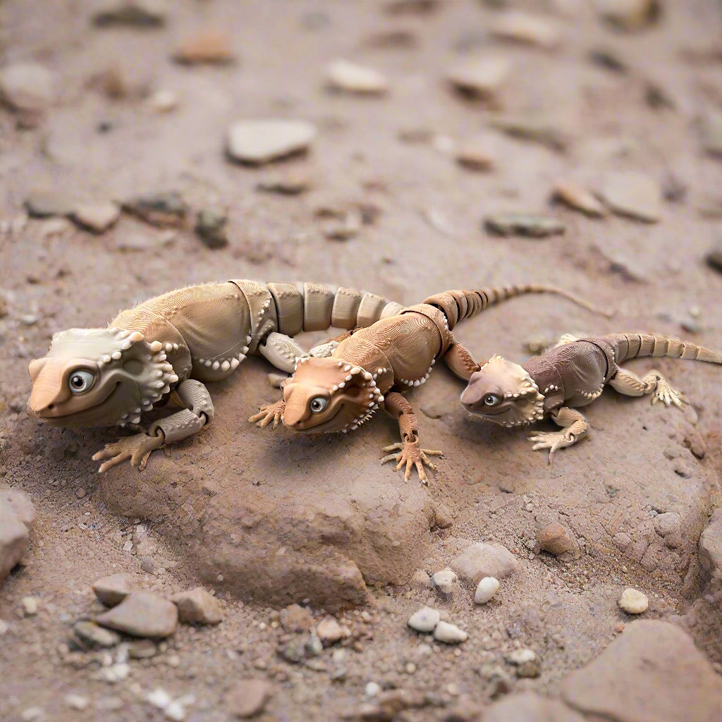 Three Bearded Dragons Side