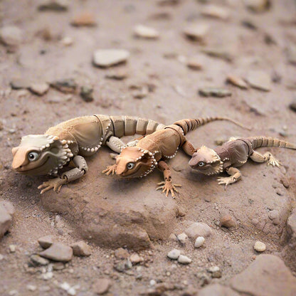 Three Bearded Dragons Side