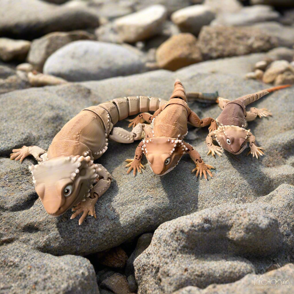 Three Bearded Dragons