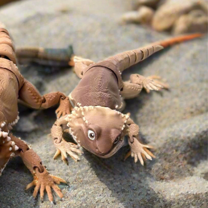 Bearded Dragon - 3d Printed Fidget Toy