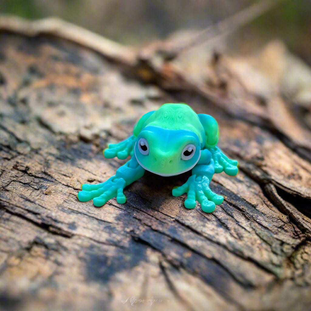 Tree frog on a log