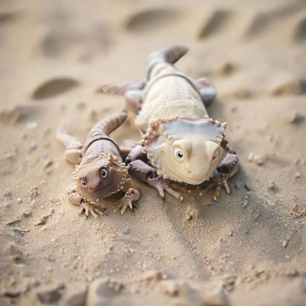 Two Bearded Dragons