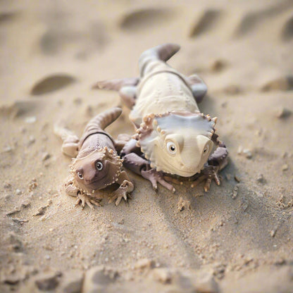 Two Bearded Dragons