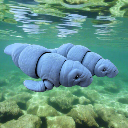 Two Manatee Swimming Under Water
