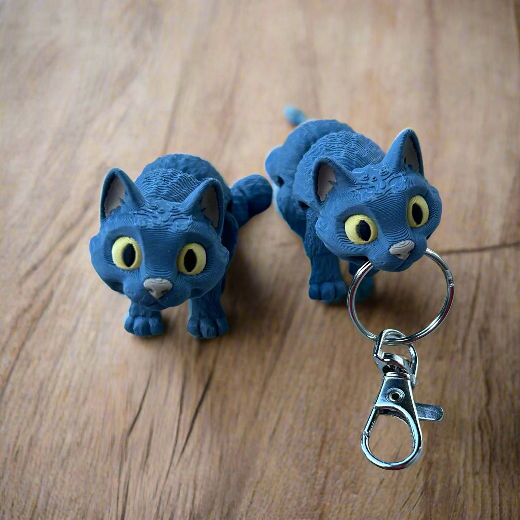 Two gray cats