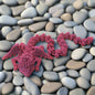 Wine Red Dragon