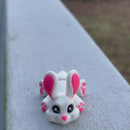 Snow White Bunny - 3d Printed Fidget Toy
