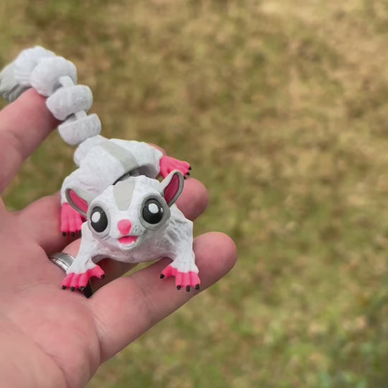 Sugar Glider