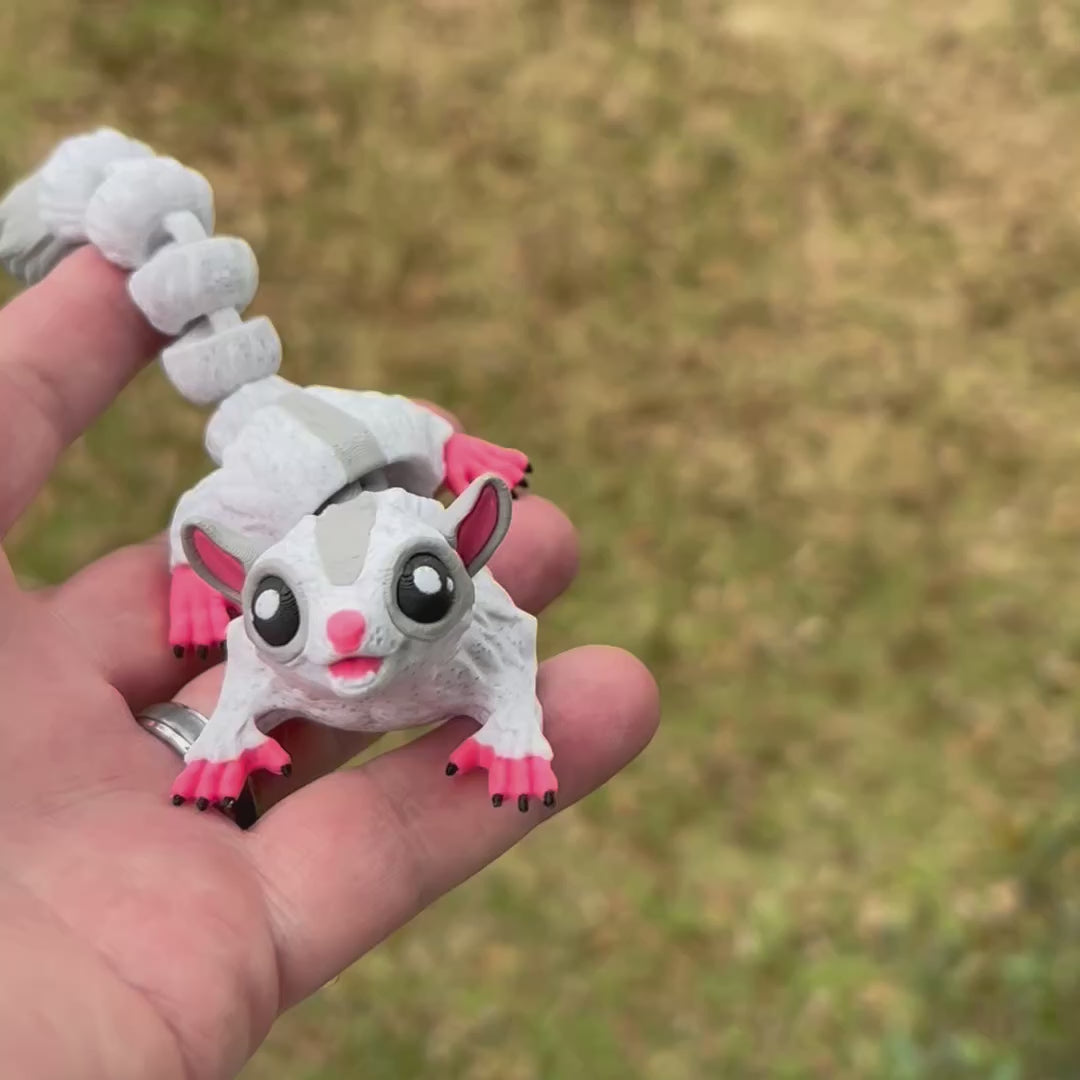 Sugar Glider